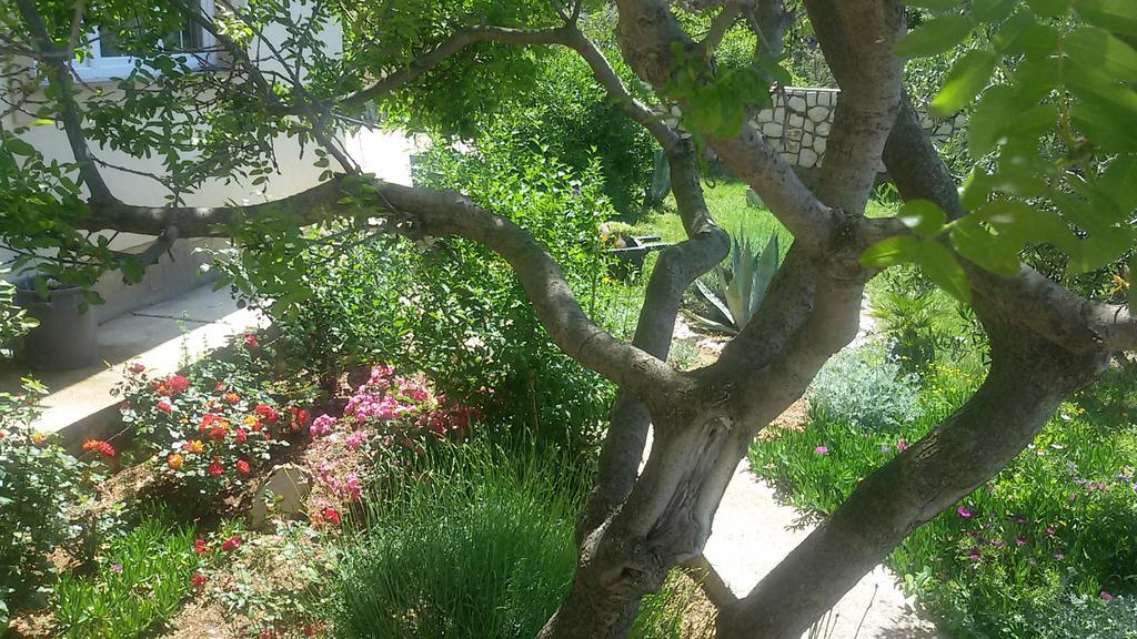 Bed & Breakfast Jugo Novalja Bagian luar foto
